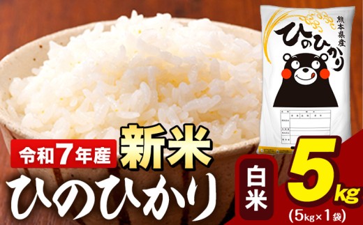新米 令和7年産 白米 米 ひのひかり 5kg《11月上旬頃までに出荷》熊本県 大津町 国産 熊本県産 白米 精米 送料無料 ヒノヒカリ こめ お米