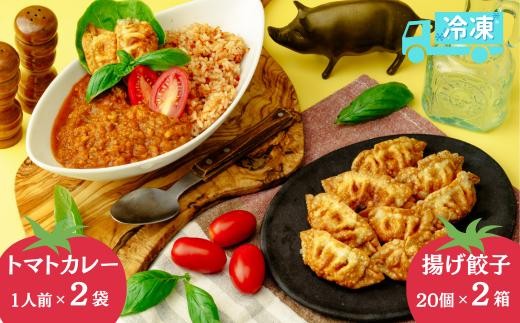 揚げ 餃子 北本トマトカレー セット 餃子40個 +カレー2人前 | ギョウザ 冷凍餃子 ギョーザ 冷凍ギョウザ 冷凍ぎょうざ ぎょうざ ぎょーざ B級 ご当地 グルメ王 入賞 トマト トマトカレー カレー ご当地カレー 冷凍カレー 手軽 食べ比べ 大家族 美味しい おやつ おつまみ 国産野菜 お手軽 大容量 中華 簡単調理 惣菜 北本フーズ 埼玉県 北本市 393717 - 埼玉県北本市