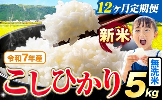 【12ヶ月定期便】令和7年産 新米 無洗米 こしひかり 5kg《お申込みの翌月出荷》熊本県産 ふるさと納税 無洗米 精米 ひの 米 こめ ふるさとのうぜい コシヒカリ コメ お米 おこめ 2267987 - 熊本県苓北町