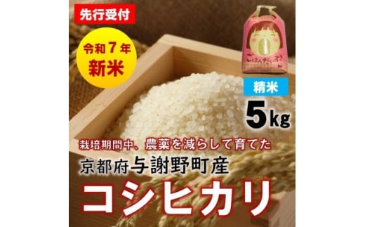 先行受付 R7年産新米 京都丹後産コシヒカリ 精米5kg 栽培期間中、農薬を減らして育てたお米【1658828】 2262129 - 京都府与謝野町