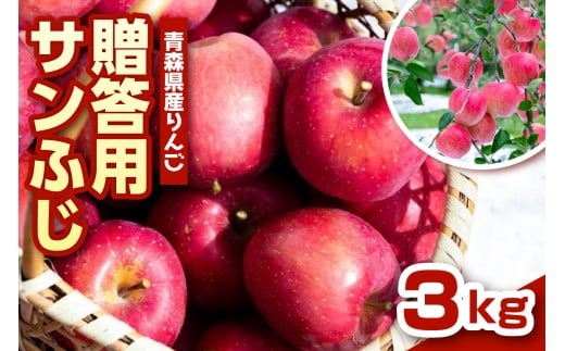 りんご 青森 サンふじ 3kg 程度 [ 贈答用 ] 農家直送 [配送時期が選べる: 11月 12月 ]サンフジ 青森県 五所川原市 贈答 プレゼント 贈り物 林檎 リンゴ apple