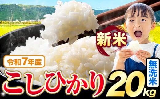令和7年産 新米 無洗米 こしひかり 20kg《9月下旬-11月上旬頃出荷》熊本県産 ふるさと納税 無洗米 精米 ひの 米 こめ ふるさとのうぜい コシヒカリ コメ お米 おこめ