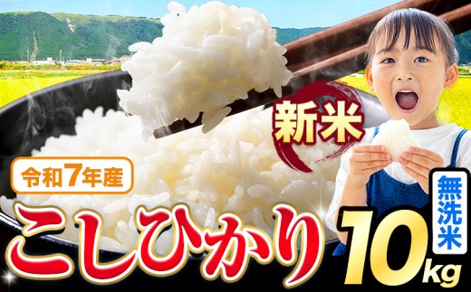 令和7年産 新米 無洗米 こしひかり 10kg《9月下旬-11月上旬頃出荷》熊本県産 ふるさと納税 無洗米 無洗米 精米 ひの 米 こめ ふるさとのうぜい コシヒカリ コメ お米 おこめ