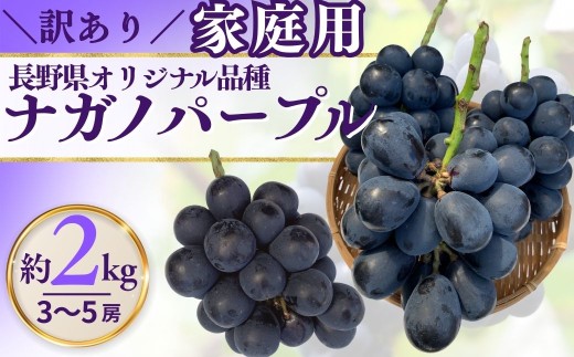  訳あり ナガノパープル（約2kg）家庭用 ｜ 果物 フルーツ 黒ぶどう 葡萄 ブドウ 種無し 種なし 皮ごと 千曲市 長野県 信州