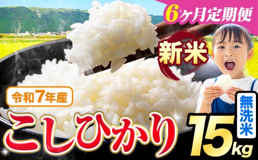 【6ヶ月定期便】令和7年産 新米 無洗米 こしひかり 15kg《お申込みの翌月出荷》熊本県産 ふるさと納税 無洗米 精米 ひの 米 こめ ふるさとのうぜい コシヒカリ コメ お米 おこめ