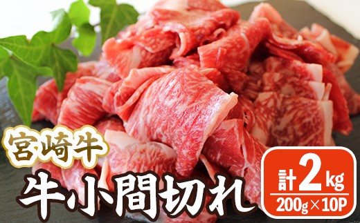 宮崎牛 小間切れ (計2kg・200g×10) 牛肉 精肉 お肉 黒毛和牛 ブランド和牛 切り落とし こま肉お取り寄せ 冷凍 国産 宮崎県 【MA-12】【株式会社マルミヤストア】