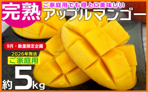【9月・数量限定企画】【2026年発送】ご家庭用でも極上に美味しい完熟アップルマンゴー約5kg　農園直送！ 家庭用 先行予約 沖縄 甘味 糖度 濃厚 美味しい お土産 おいしい ふるさと納税 とろける甘さ 香り アーウィン 果汁 送料無料 箱入り トロピカル 普段使い お取り寄せ ご褒美 2260472 - 沖縄県大宜味村