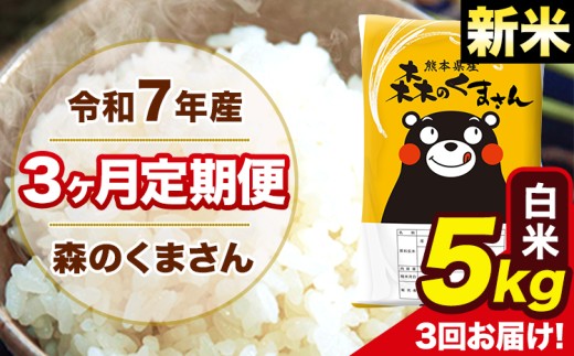 新米 令和7年産 森のくまさん 白米 5kg 5kg×1袋 計3回お届け 《お申し込み月の翌月から出荷開始》 お米 こめ 熊本県産 ご飯 備蓄