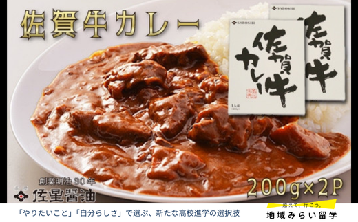 佐星醤油 佐賀牛カレー2個セット