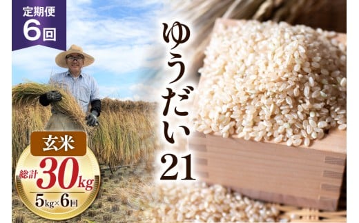 6回 定期便 米 令和7年産 玄米 ゆうだい21 5kg×6回 計30kg [穂足農園合同 山梨県 韮崎市 20745231] お米 コメ ご飯 ごはん 山梨県産