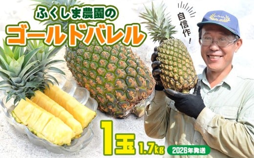 ゴールドバレル【パインアップル】(1玉）約1.7kg　ふくしま農園の自信作！◆2026年発送◆ ゴールドバレル パイナップル 高品質 新鮮 ジューシー 希少 高い糖度 大玉 甘い トロピカル パイン 生産量日本一 高級フルーツ 南国フルーツ 国産フルーツ 完熟 福島 農家直送 沖縄 東村 810412 - 沖縄県東村