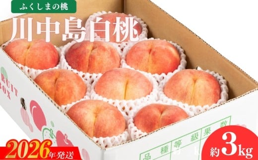 No.2153福島のもも　川中島白桃　約3kg【2026年発送　先行受付】 362764 - 福島県福島市