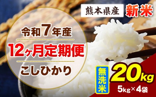 【12ヶ月定期便】令和7年産 定期便 こしひかり 20kg 新米 無洗米 阿蘇 うぶやま 米 定期便 熊本県産 ふるさと納税 精米 ひの 米 こめ ふるさとのうぜい コシヒカリ コメ お米 おこめ《申込み翌月から出荷》