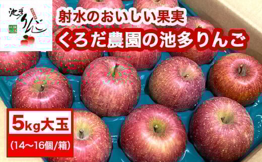 [射水のおいしい果実][林檎]くろだ農園の池多りんご 5kg大玉(14〜16個/箱) ※離島・沖縄県への配送不可 ※2025年11月下旬〜2026年1月中旬頃に順次発送予定