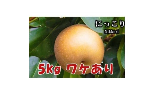 ＜5kg＞栃木県小山市産B級品　にっこり　梨【1617304】