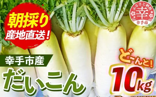 【きあり農園】幸手市産 大根 10kg - 朝採れ ダイコン だいこん 産地直送 野菜 ベジタブル 美味しい おいしい 冬野菜 煮物 鍋 おでん おすすめ 送料無料 埼玉県 幸手市