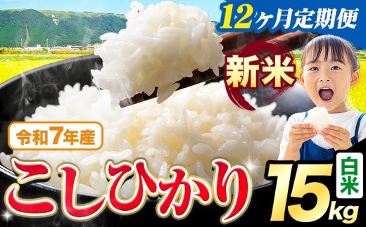 【12ヶ月定期便】令和7年産 新米 白米 こしひかり 15kg《お申込みの翌月出荷》熊本県産 ふるさと納税 白米 精米 ひの 米 こめ ふるさとのうぜい コシヒカリ コメ お米 おこめ