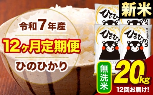 新米 令和7年産 【12ヶ月定期便】  無洗米 米 ひのひかり 20kg《お申し込み月の翌月から出荷開始》熊本県 大津町 国産 熊本県産 無洗米 送料無料 ヒノヒカリ こめ お米