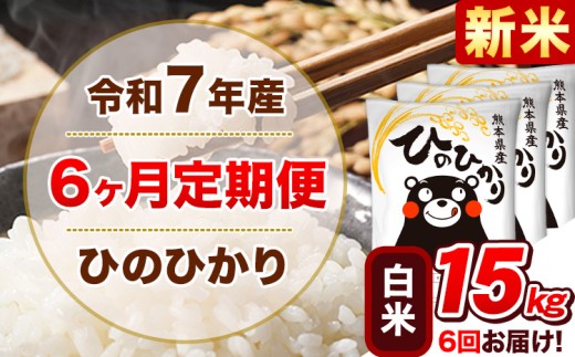 新米 令和7年産 【6ヵ月定期便】 白米 ひのひかり 定期便 15kg 5kg×3袋《お申込み翌月から出荷開始》 熊本県産 精米 ひの 米 こめ ヒノヒカリ コメ お米