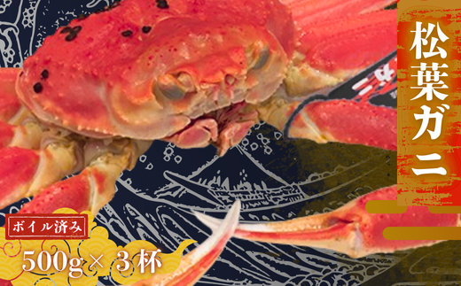 松葉カニ500g×3杯〈ボイル〉松葉ガニ カニ 蟹 新鮮 旬 プレゼント 贈与 お祝い事 贈り物 年末年始 祝辞 2259975 - 島根県西ノ島町
