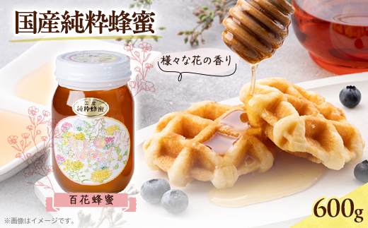 津山市産 百花蜂蜜　600g_岡山県産 百花蜂蜜 600g はちみつ ハチミツ 国産 岡山県 津山市 贈答 ギフト おすすめ 人気 送料無料【1605212】
