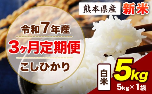 【3ヶ月定期便】令和7年産 定期便 こしひかり 5kg 新米 白米 阿蘇 うぶやま 米 定期便 熊本県産 ふるさと納税 精米 ひの 米 こめ ふるさとのうぜい コシヒカリ コメ お米 おこめ《申込み翌月から出荷》