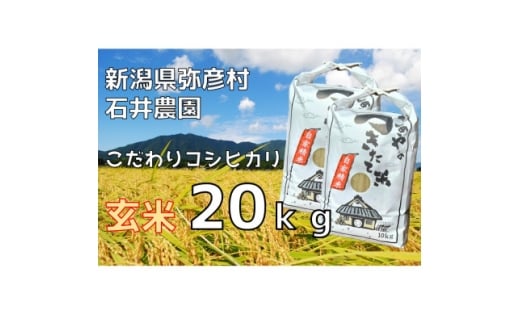 新潟県弥彦村石井農園　令和7年産 コシヒカリ＜玄米 20kg＞【1538645】 1455449 - 新潟県弥彦村