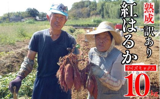 訳あり 熟成 紅はるか 10kg サイズ ミックス さつまいも サツマイモ いも 芋 焼き芋 やきいも 蒸し芋 冷やし焼き芋 蜜芋 スイートポテト さつまいもスープ 芋ご飯 さつまいもチップス 天ぷら おやつ デザート スイーツ 料理 材料 国産 長期熟成 低温熟成 高糖度 甘い 甘み しっとり なめらか 栄養豊富 食物繊維 季節限定 秋冬限定 冬の味覚 愛媛県 愛南町 愛南町産 愛なんよ