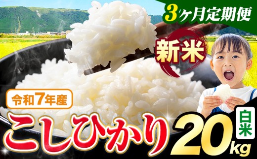 【3ヶ月定期便】令和7年産 新米 白米 こしひかり 20kg《お申込み翌月出荷》熊本県産 ふるさと納税 白米 精米 ひの 米 こめ ふるさとのうぜい コシヒカリ コメ お米 おこめ 2267756 - 熊本県苓北町