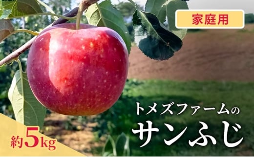 サンふじ（家庭用） 約5kg（15～20玉入り）トメズファーム　りんご　長野　信州　小諸　果物　フルーツ [№5915-1663]