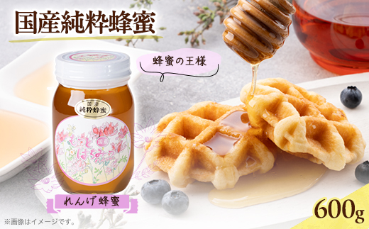 津山市産 れんげ蜂蜜　600g_はちみつ 国産 れんげ蜂蜜 ハチミツ ハニー 国産はちみつ れんげ 健康食品 食品 人気 ナチュラル 蜂蜜 岡山県 津山市 600g 贈答 ギフト プレゼント 常温 送料無料【1605191】