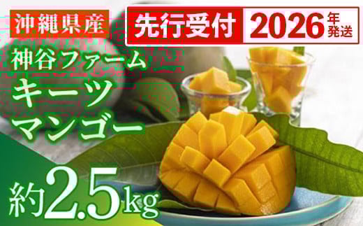 【先行受付】【2026年発送】神谷ファームのキーツマンゴー 約2.5kg - 先行予約 沖縄県産 産地直送 南国フルーツ 旬の味覚 季節の果物 希少種 贈り物 ギフト 沖縄県 八重瀬町
