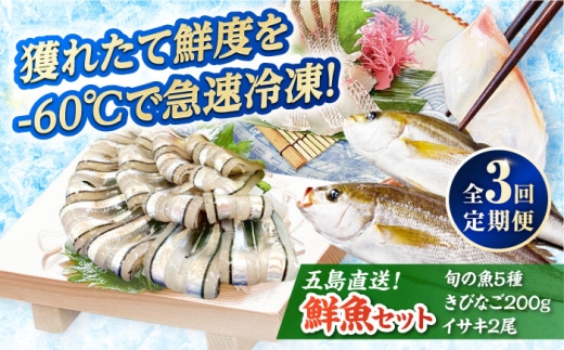 【全3回定期便】超速冷凍鮮魚7種（鮮魚5種+冷凍きびなご200g+焼物用いさき2尾）五島市/金沢鮮魚 [PEP069]