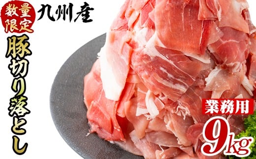 【工場直送 業務用】九州産豚切り落とし＜計9kg(300g×30P)＞ 肉 国産 豚肉 切り落とし 国産 九州産 小分け 真空パック しゃぶしゃぶ c0-137