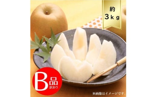 ＜3kg＞栃木県小山市産B級品　にっこり　梨【1617303】