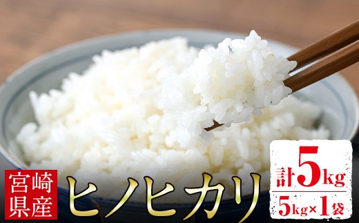 ＜先行予約受付中！2025年10月中旬以降順次発送予定＞宮崎県門川町産ヒノヒカリ(5kg×1) お米 精米 白米 ごはん ご飯 ひのひかり 皇室献上米 【KM-3】【神舞農園】