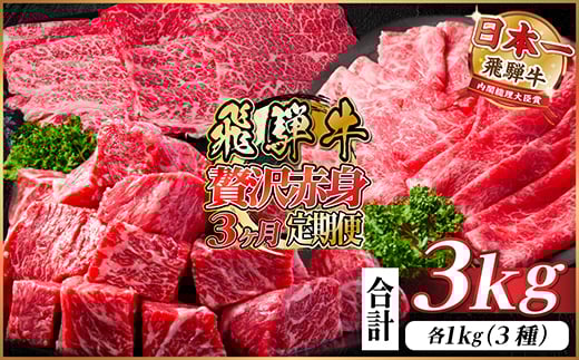 レビューキャンペーン実施中!＜毎月定期便＞飛騨牛 贅沢赤身肉定期便 計3kg全3回【4059530】