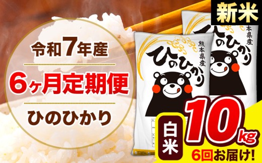 新米 令和7年産 ひのひかり 【6ヶ月定期便】 白米  10kg (5kg×2袋) 計6回お届け 《お申し込み月の翌月から出荷開始》 熊本県産 白米 精米 ひの 米 こめ お米 熊本県 長洲町