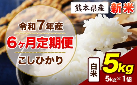 【6ヶ月定期便】令和7年産 定期便 こしひかり 5kg 新米 白米 阿蘇 うぶやま 米 定期便 熊本県産 ふるさと納税 精米 ひの 米 こめ ふるさとのうぜい コシヒカリ コメ お米 おこめ《申込み翌月から出荷》