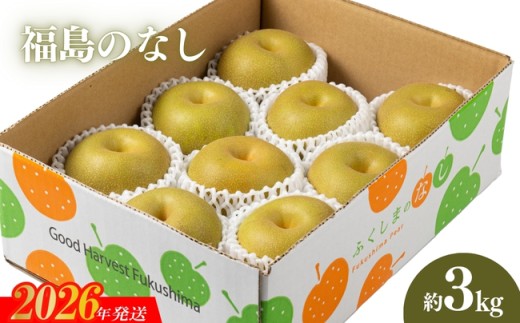 No.2042 【2026年発送　先行予約】福島のなし　約3kg（幸水または豊水） 281180 - 福島県福島市