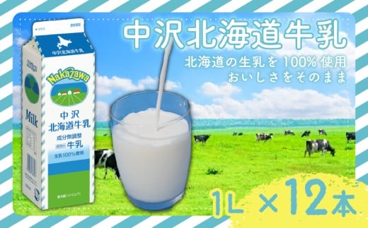 北海道 牛乳 1L × 12本 中沢 12L 国産 成分無調整牛乳 ミルク カルシウム 栄養 乳業 朝食 家庭用 給食  健康 紙パック 北海道牛乳 生乳 せいにゅう ぎゅうにゅう みるく タンパク質 Milk gyuunyuu  生乳 100% 使用 乳飲料 中沢乳業 神奈川 藤沢市 藤沢 2290204 - 神奈川県藤沢市