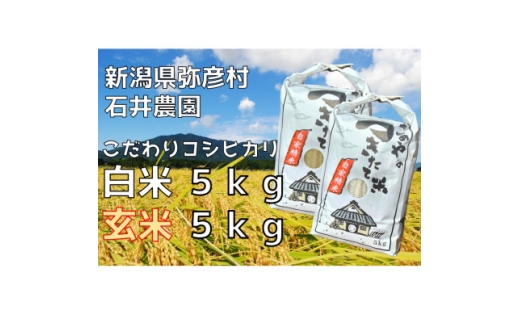 新県弥彦村石井農園　令和7年産コシヒカリ白米・玄米 食べ比べセット＜白米5kg、玄米5kg＞【1508848】