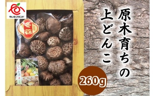 肉厚・厳選！原木育ちの上どんこ260g｜栃木県 矢板市 しいたけ 椎茸 産地直送  