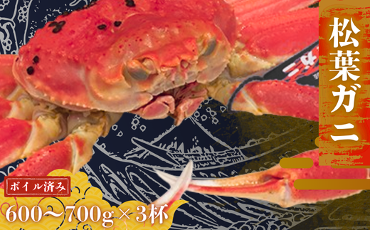 松葉カニ600g～700g×3杯〈ボイル〉松葉ガニ カニ 蟹 新鮮 旬 プレゼント 贈与 お祝い事 贈り物 年末年始 祝辞
