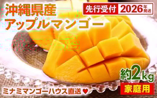 【先行受付】【2026年発送】ミナミマンゴーハウスのアップルマンゴー 家庭用 約2kg（4～7玉）- 先行予約 沖縄県産 産地直送 南国フルーツ 旬の味覚 ご自宅用 オススメ 沖縄県 八重瀬町