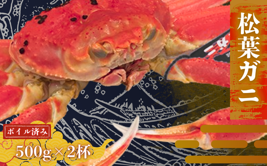 松葉カニ500g×2杯〈ボイル〉松葉ガニ カニ 蟹 新鮮 旬 プレゼント 贈与 お祝い事 贈り物 年末年始 祝辞 2259974 - 島根県西ノ島町