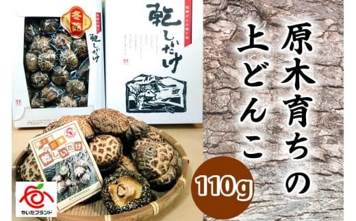 肉厚・厳選！原木育ちの上どんこ110g｜栃木県 矢板市 しいたけ 椎茸 産地直送  