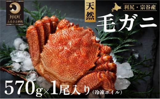 利尻・宗谷産 冷凍ボイル毛蟹 570g前後×1尾