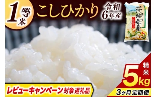 【3ヶ月定期便】＼レビューキャンペーン対象 在庫わずか／★1等米★ コシヒカリ 5kg (総計 15kg)【令和6年産】米 精米 白米 こしひかり 定期便 茨城県 鹿嶋市 国産 送料無料 お米 ごはん おにぎり 冷めても 美味しい 粘り うまみ 厳選 出荷直前精米 ツヤ かおり うまい（KY-20）