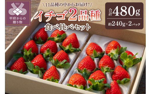 【2025-2026発送分】イチゴ2品種食べ比べセット いちご イチゴ 苺 先行予約 食べ比べ セット ギフト 贈答 プレゼント 採れたて フルーツ 2品種 約240g×2パック 冷蔵 フルーツ王国山梨 甲府市産 1310883 - 山梨県甲府市